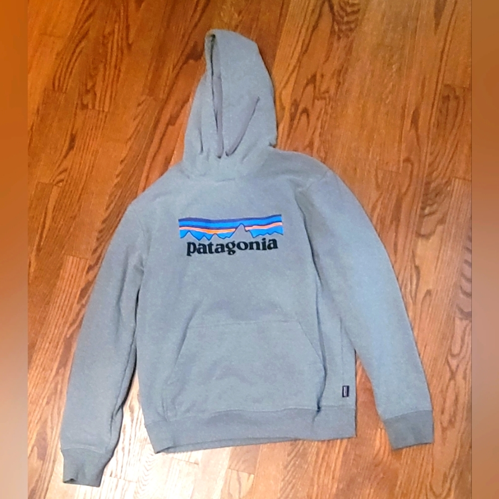 Patagonia Gray Hoodie with Logo Size Medium